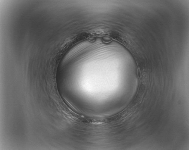 X0000060781297200512011628