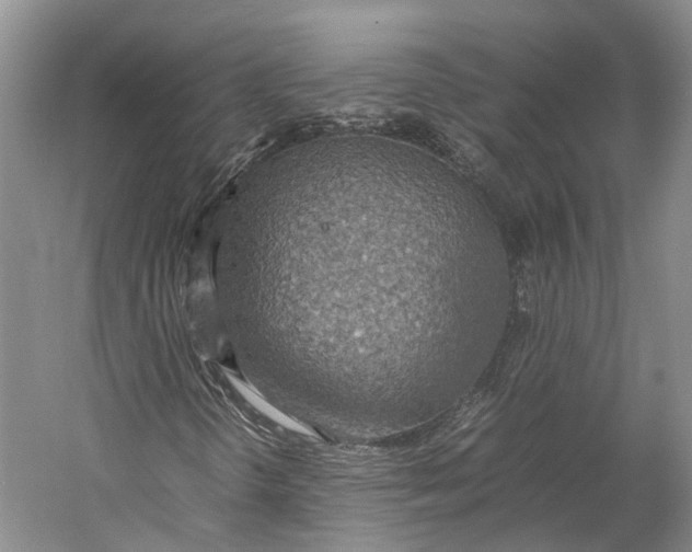 X0000060781298200512011628