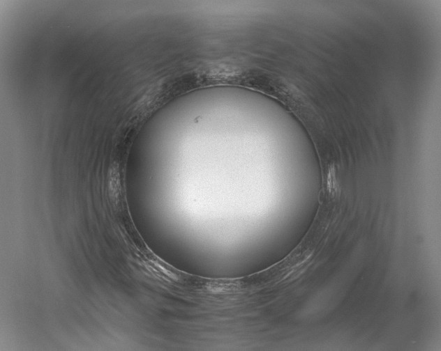 X0000060781299200512011628