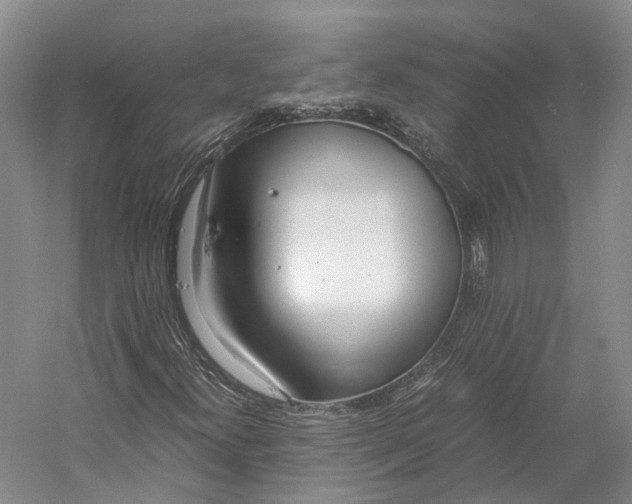 X0000060781300200512011628