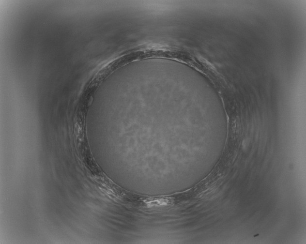 X0000060781303200512011628