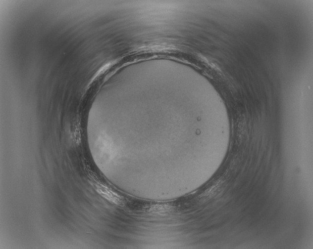 X0000060781306200512011628