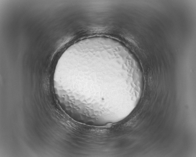 X0000060781309200512011628