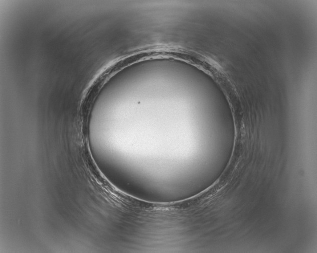 X0000060781310200512011628