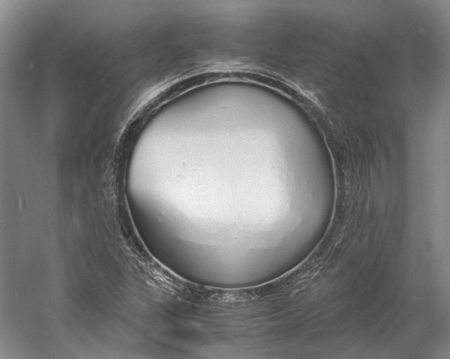 X0000060781311200512011628