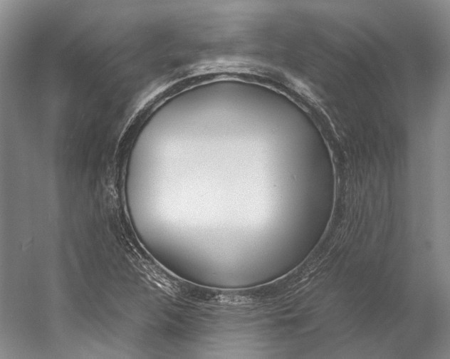 X0000060781312200512011628