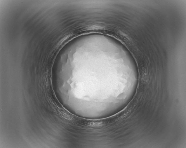 X0000060781313200512011628