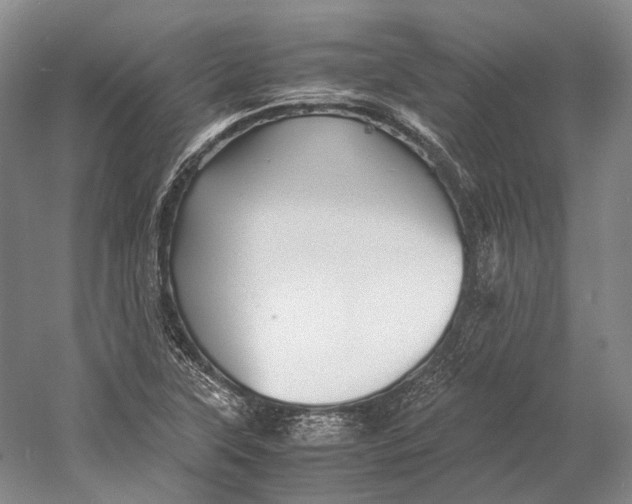 X0000060781315200512011628