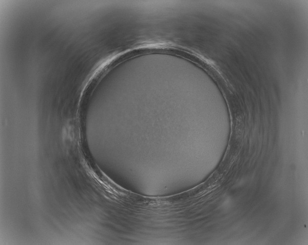 X0000060781319200512011628