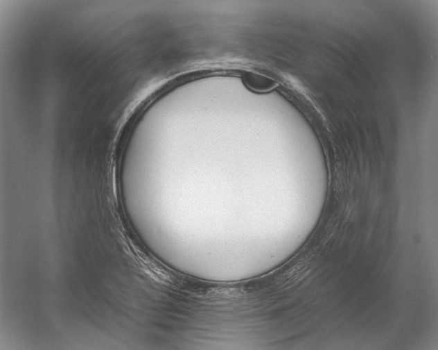 X0000060781320200512011628