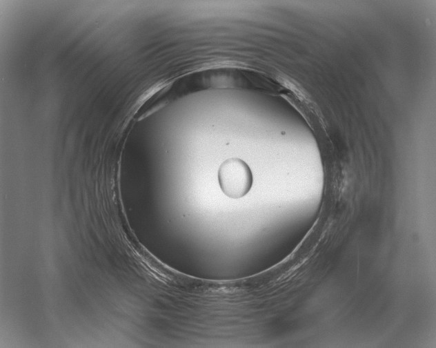 X0000060781321200512011628