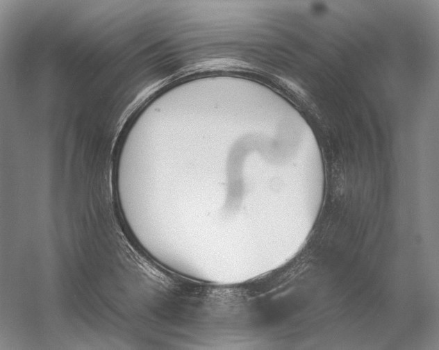 X0000060781322200512011628