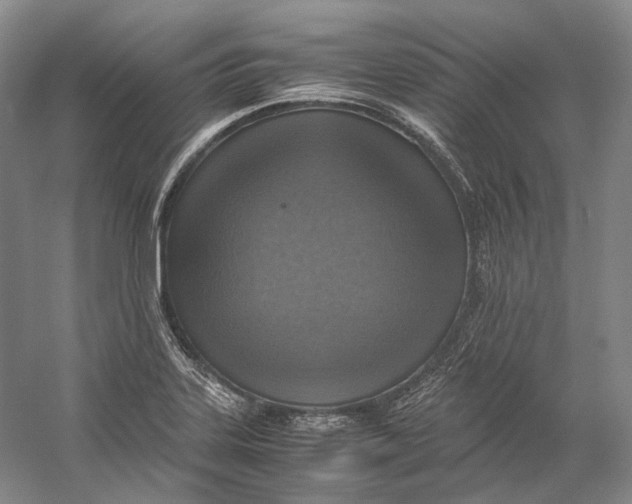 X0000060781323200512011628