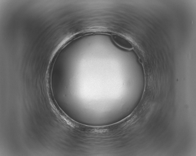 X0000060781325200512011628