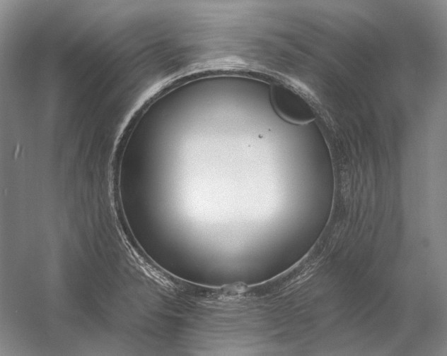 X0000060781326200512011628