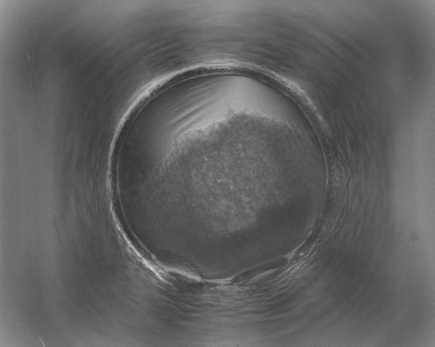 X0000060781327200512011628