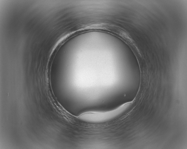 X0000060781328200512011628