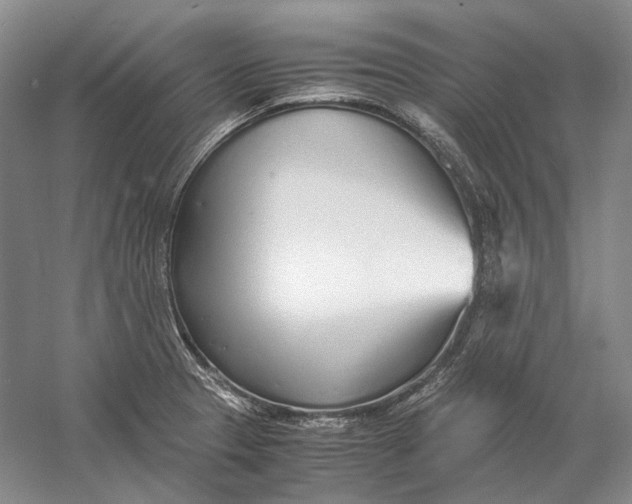 X0000060781329200512011628