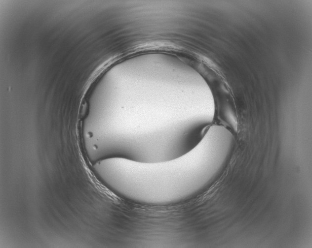 X0000060781330200512011628