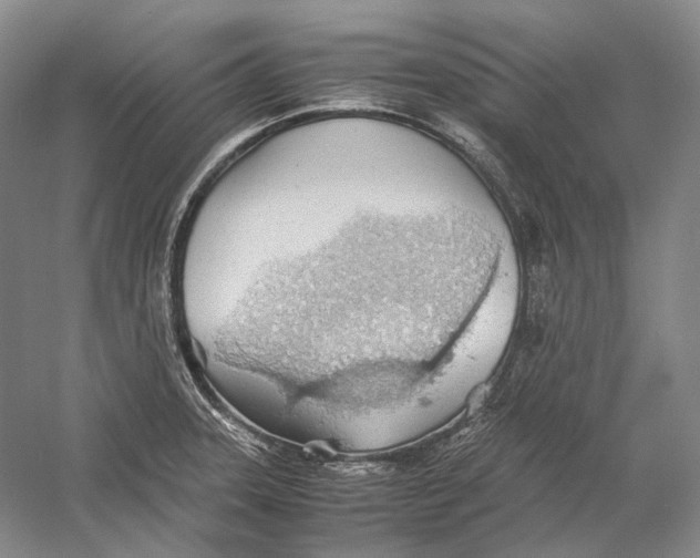 X0000060781331200512011628