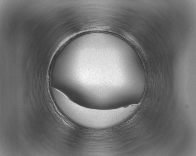 X0000060781332200512011628