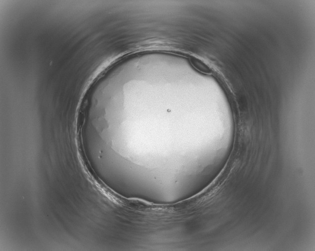 X0000060781333200512011628