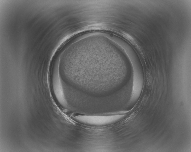 X0000060781334200512011628