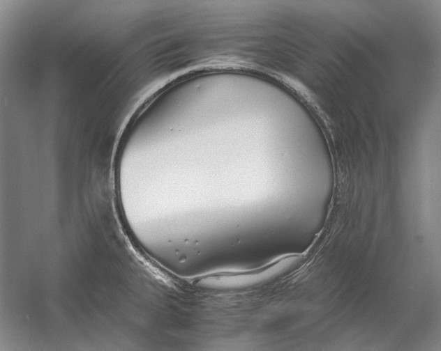 X0000060781335200512011628