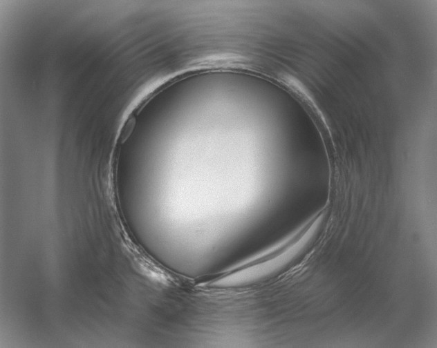 X0000060781336200512011628