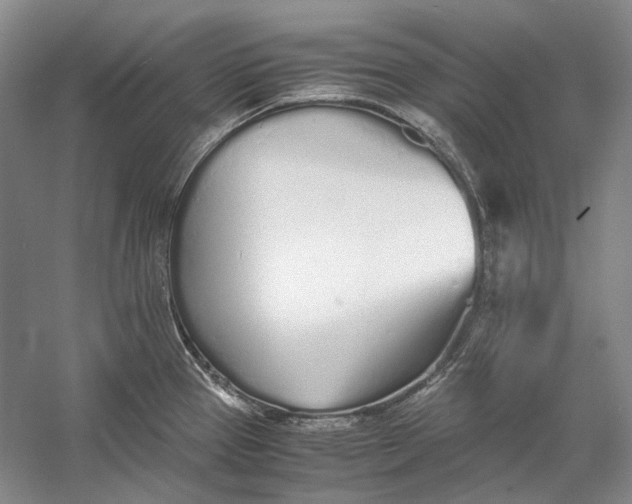 X0000060781337200512011628