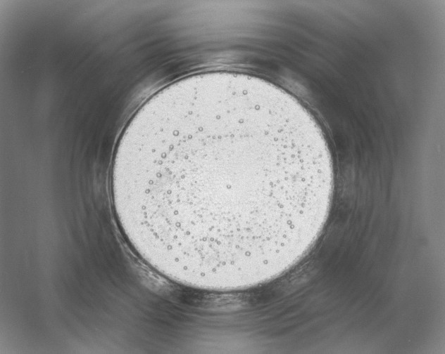 X0000060781338200512011628