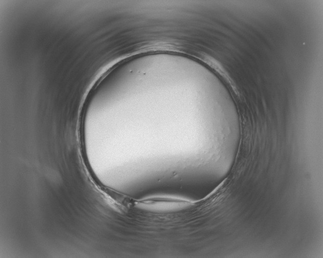 X0000060781339200512011628