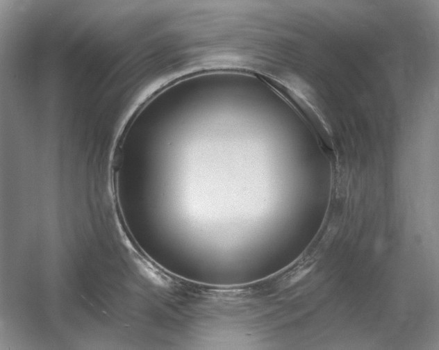 X0000060781342200512011628