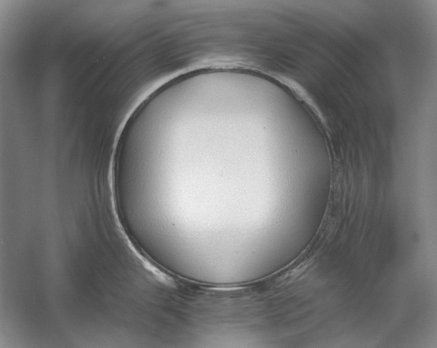 X0000060781343200512011628