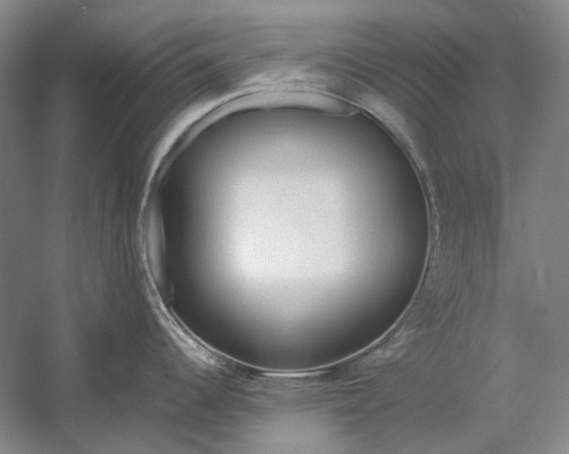 X0000060781344200512011628