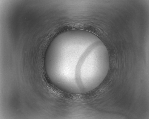 X0000060781345200512011628