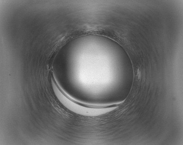 X0000060781348200512011628