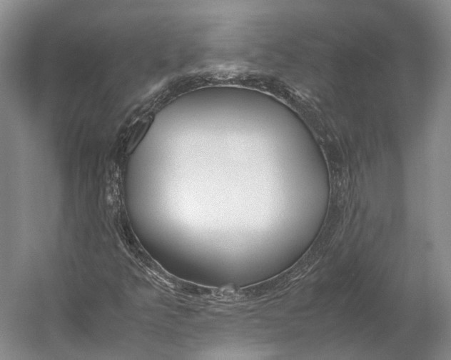 X0000060781349200512011628