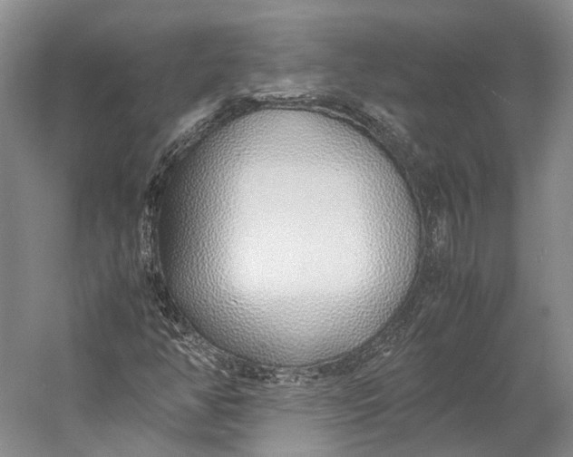 X0000060781350200512011627