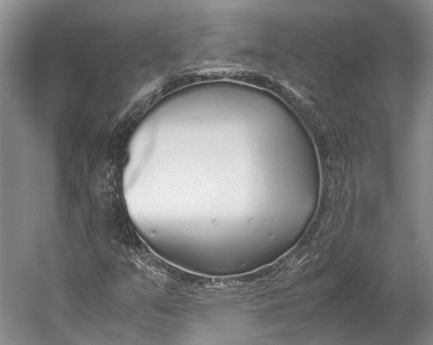 X0000060781351200512011627