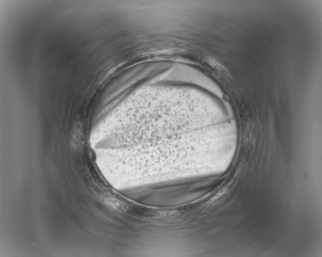 X0000060781353200512011627