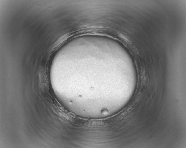 X0000060781354200512011627