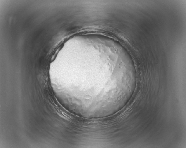 X0000060781355200512011627