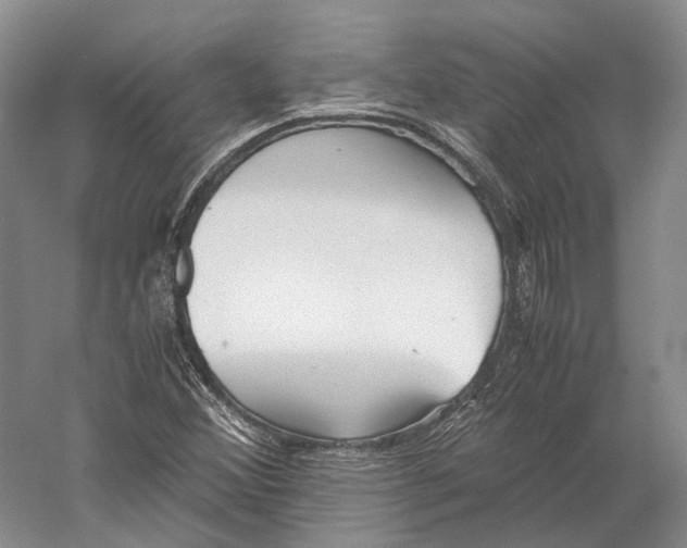 X0000060781356200512011627