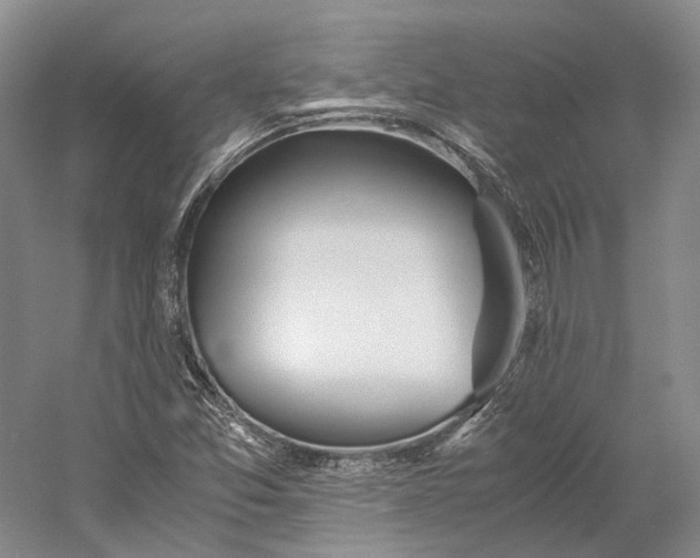 X0000060781357200512011627