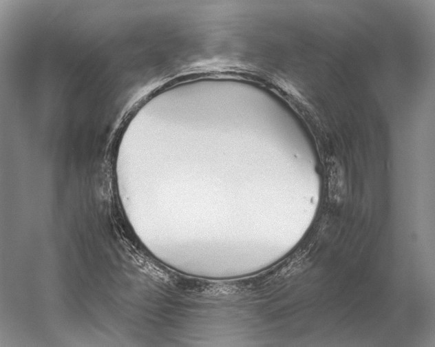 X0000060781358200512011627