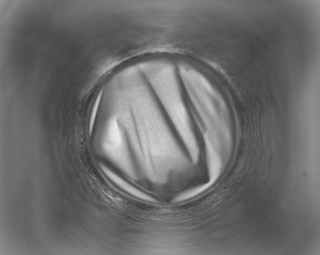 X0000060781359200512011627