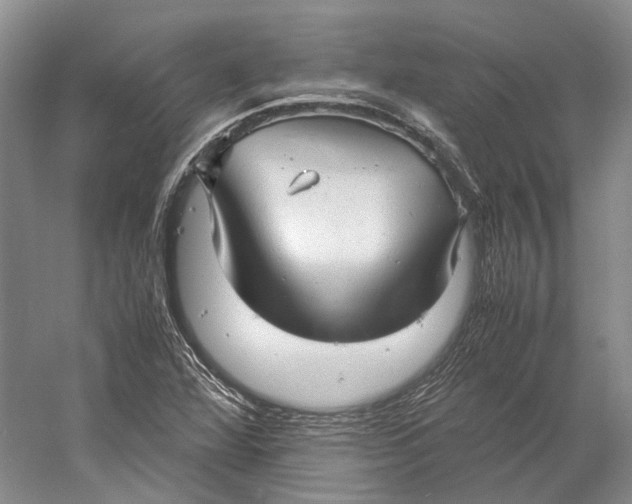 X0000060781360200512011627