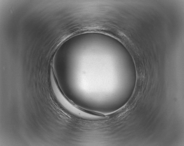 X0000060781361200512011627