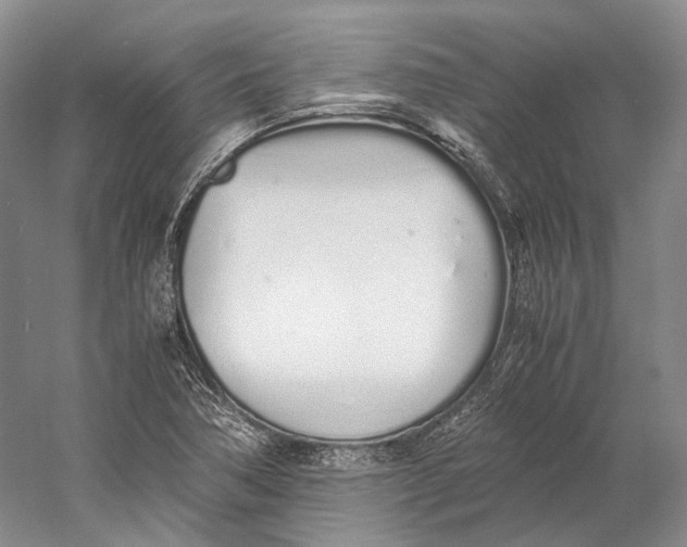 X0000060781362200512011627